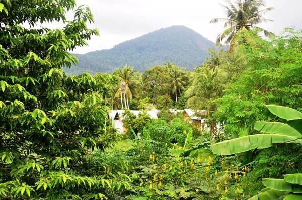 Jungle Garden Bungalows Hinkong Екстериор снимка