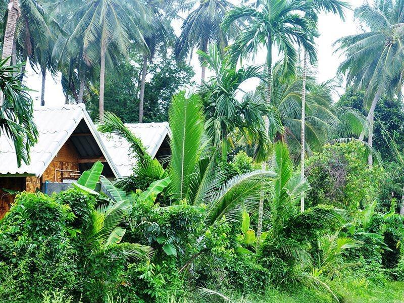 Jungle Garden Bungalows Hinkong Екстериор снимка